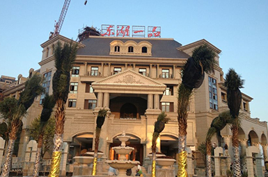 寧德東湖一品黃蝴蝶